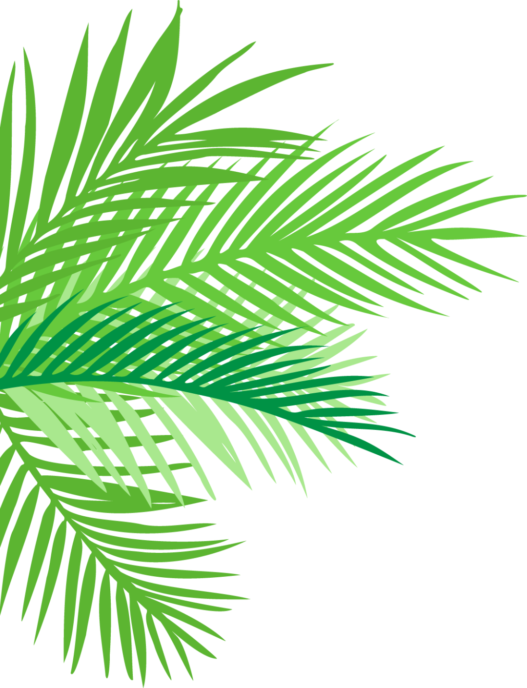 1660118028550451.png 640 (1).png